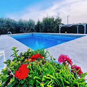 Leale , Plemmirio Italia